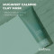 Isntree Mugwort Calming Clay Mask 100ml - Soothing & Purifying Facial Mask