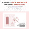 Skin 1004 Madagascar Centella Poremizing Quick Clay Stick Mask (27g)
