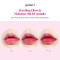 Etude Dear Darling Oil Tint #4 Sweet Apple (4.2g)