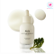 Abib Jericho Rose Bifida Serum Firming Drop [50ml]