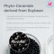 ILLIYOON Ceramide Ato Concentrate Cream [150ml]	