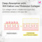 SUNGBOON EDITOR  Deep Collagen Anti-wrinkle Cream In Serum [30ml]